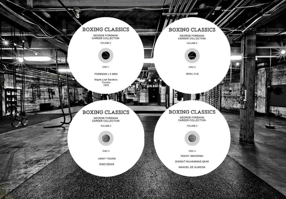 DISCS TEMPLATE2