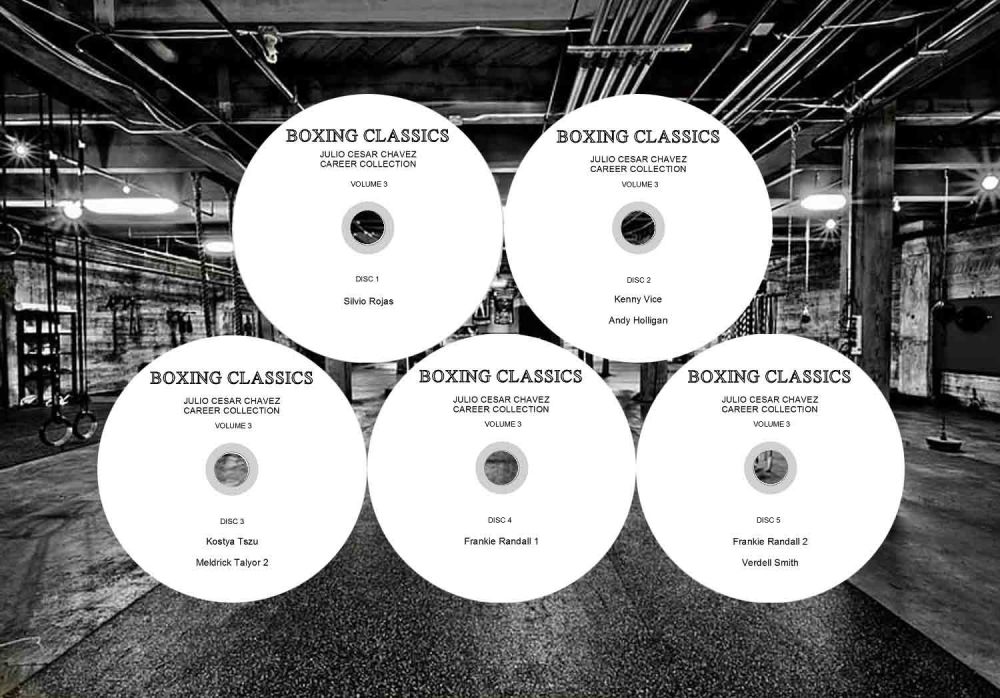 DISCS TEMPLATE