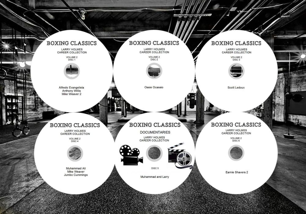 DISCS TEMPLATE