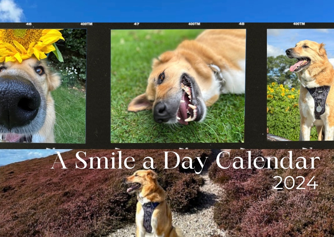 Sawyer Smile a Day Calendar 2024