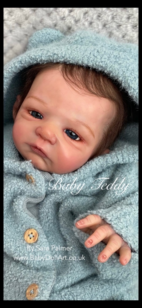 Baby Teddy