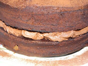 Gluten Free Chocolate Sponge Cake With Chocolate Buttercream