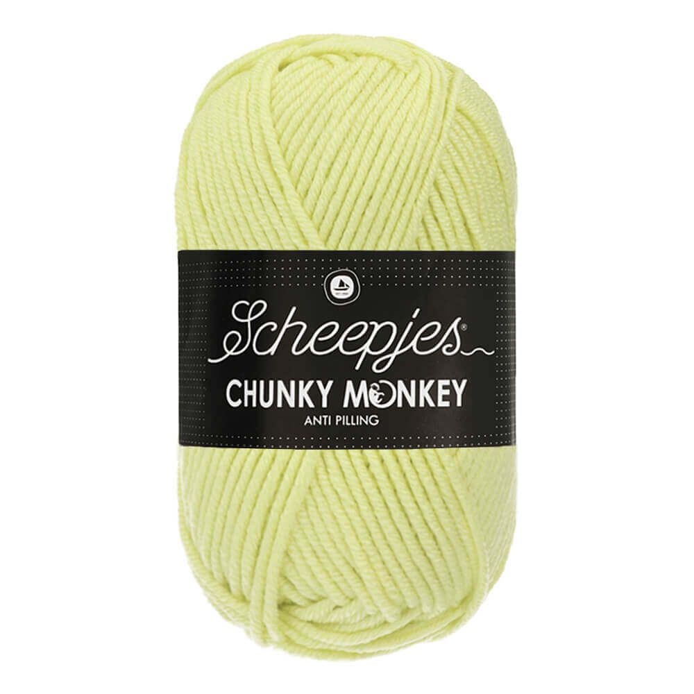 Scheepjes Chunky Monkey Aran Wool/Yarn 100g Ball Mint 1020