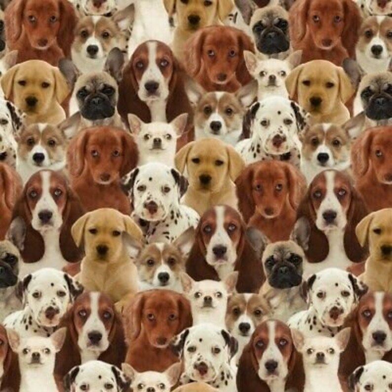 One of a Kind Fabric 112cm (44") Wide by Stof Sold as FQ, 1/2m or 1m Length Windham Dogs 50060E