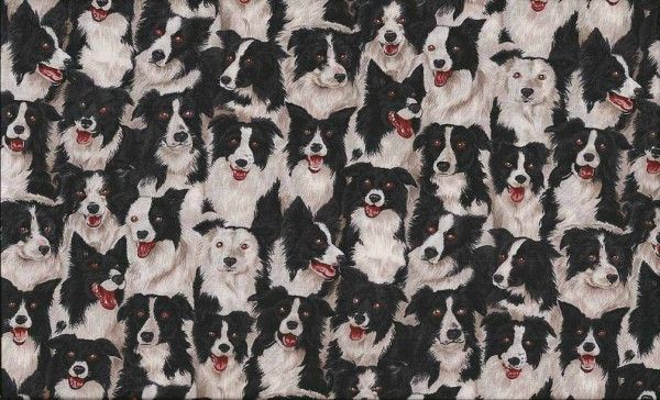 Border Collie Fabric 112cm (44") wide by Makower Sold as FQ, 1/2m or 1m 776/1 Black/White