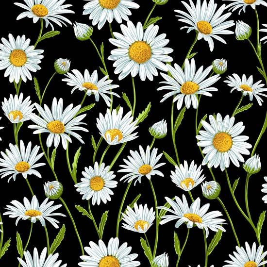 Flower Market Fabric Daisy 112cm (44") Wide Sold as FQ, 1/2m or 1m 81090 Col 104