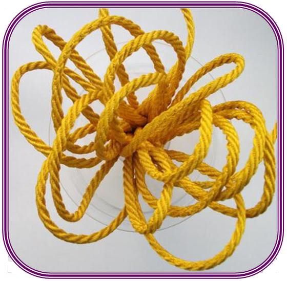 Barley Twist Cord 5mm Wide Gold