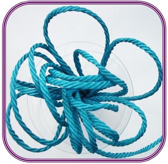 Barley Twist Cord 5mm Wide Malibu Blue