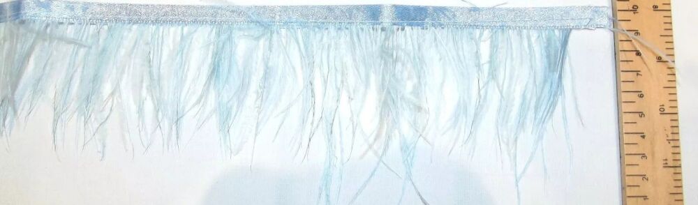 Real Ostrich Feather Trim 60-80mm Baby Blue
