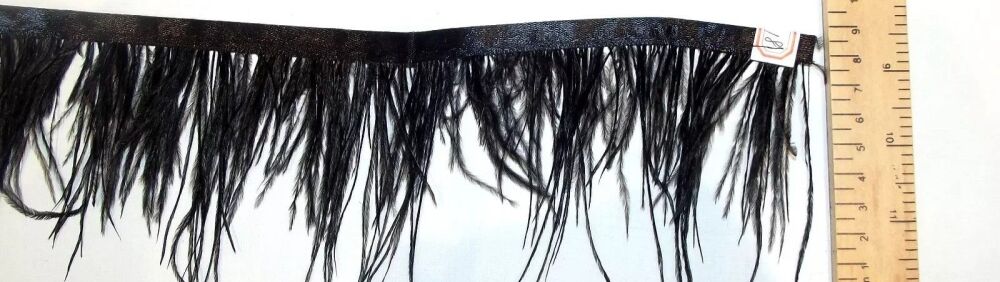 Real Ostrich Feather Trim 60-80mm Black