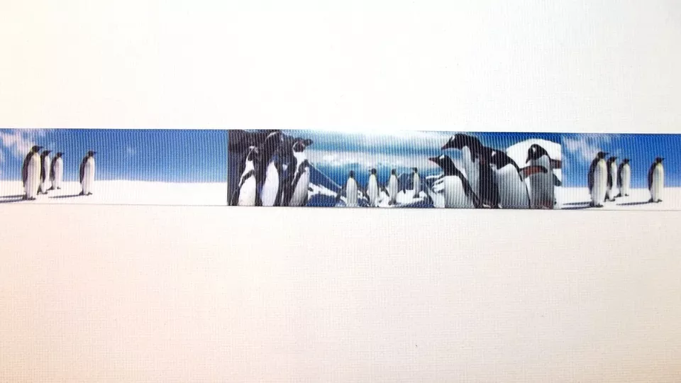 Arctic Penguins Grosgrain Ribbon 25mm Wide Sold per metre