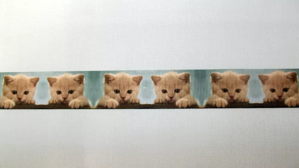 Cat Kitten Grosgrain Ribbon 25mm Wide Sold per metre