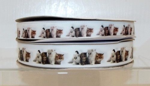 Cats Grosgrain Ribbon 16/22mm Wide Sold per Metre