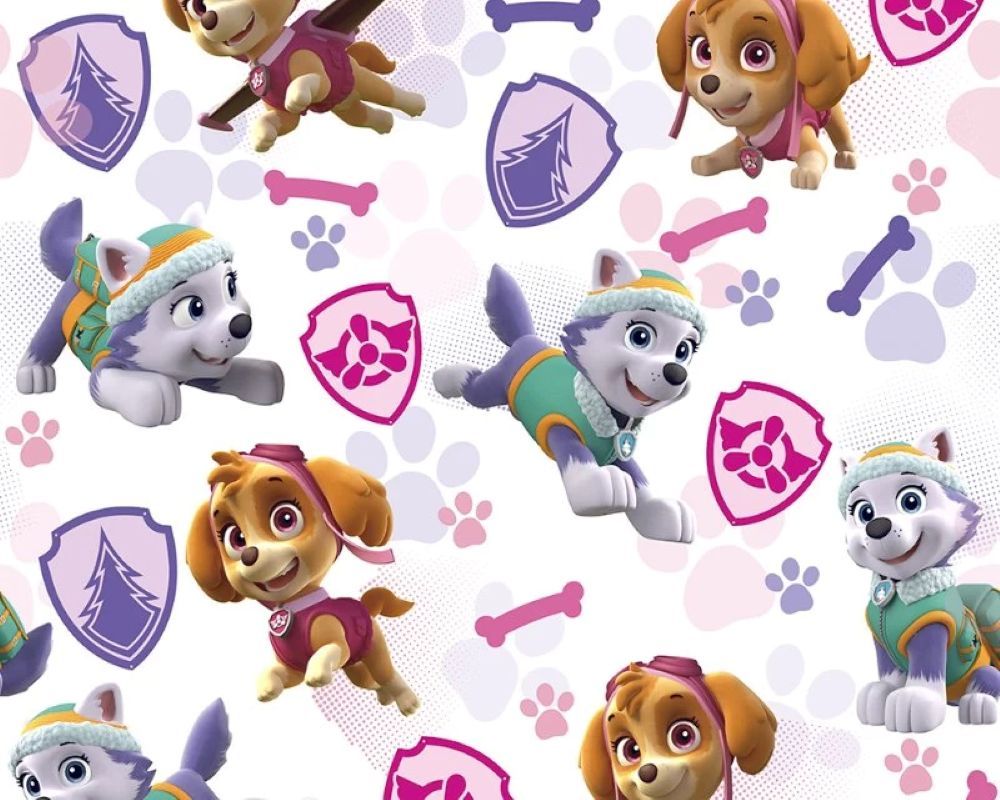 Paw Patrol Girls Badges 140cm Wide by Little Johnny Sold as FQ, 1/2m, 1m