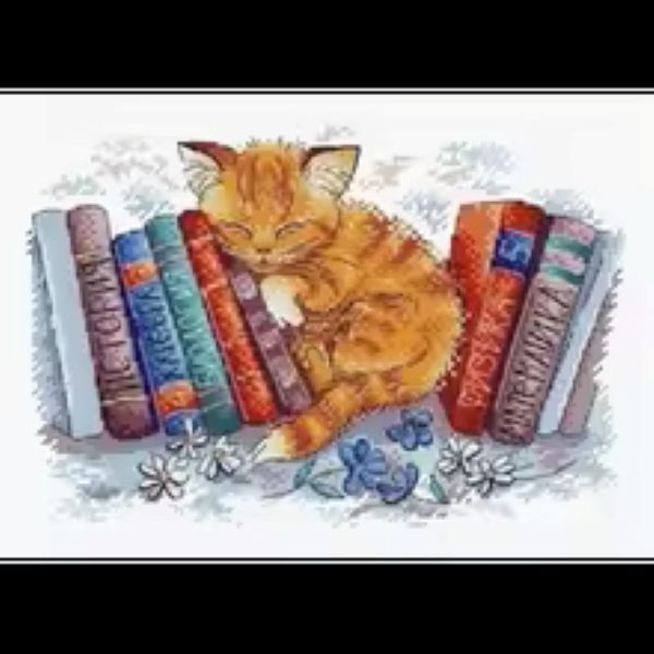 Cat with Books Cross Stitch Kit 14CT Counted