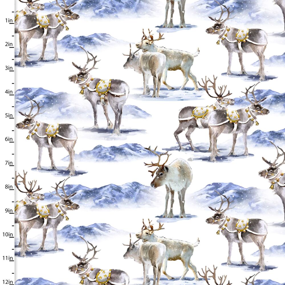 Here Comes Santa Christmas Fabric Reindeer Romp 112cm Wide FQ, 1/2m, 1m 22238