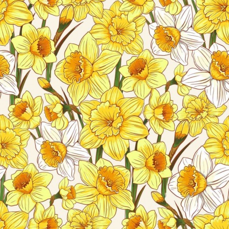 Flower Market Fabric Daffodils 112cm Wide Sold as FQ, 1/2m or 1m 81090 Col 113