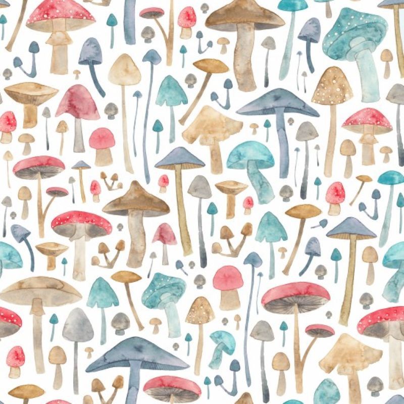 Fairy Tale Fabric Mushrooms 112cm Wide Sold as FQ, 1/2m or 1m 81870 Col 104
