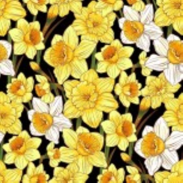 Flower Market Fabric 112cm Wide Sold as FQ, 1/2m or 1m 81090 Col 113 Daffodils Black