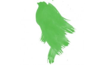 DR115 Liquid Acrylic Pearlescent - Macaw Green