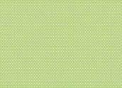 61619 Dots - Green Parchment Paper