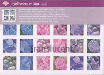 62529 Parchment Vellum - Hydrangea Three Colours - 5 sheets