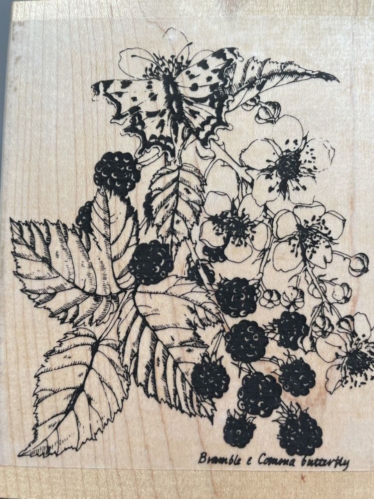 FR20 Bramble and Comma Butterfly