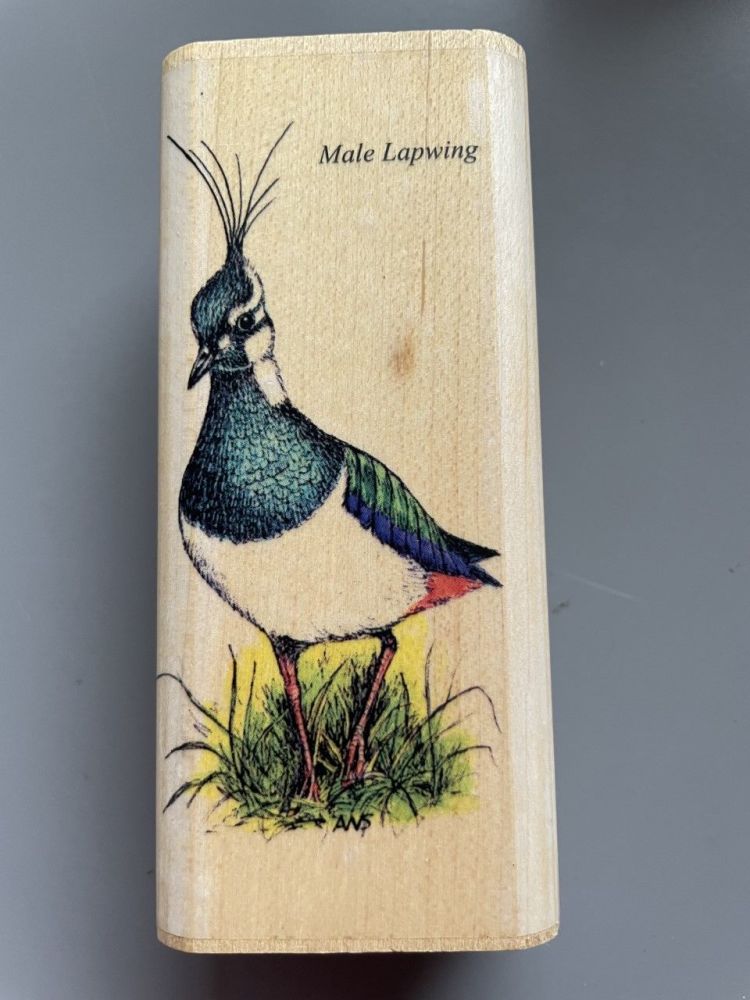 996N Male Lapwing