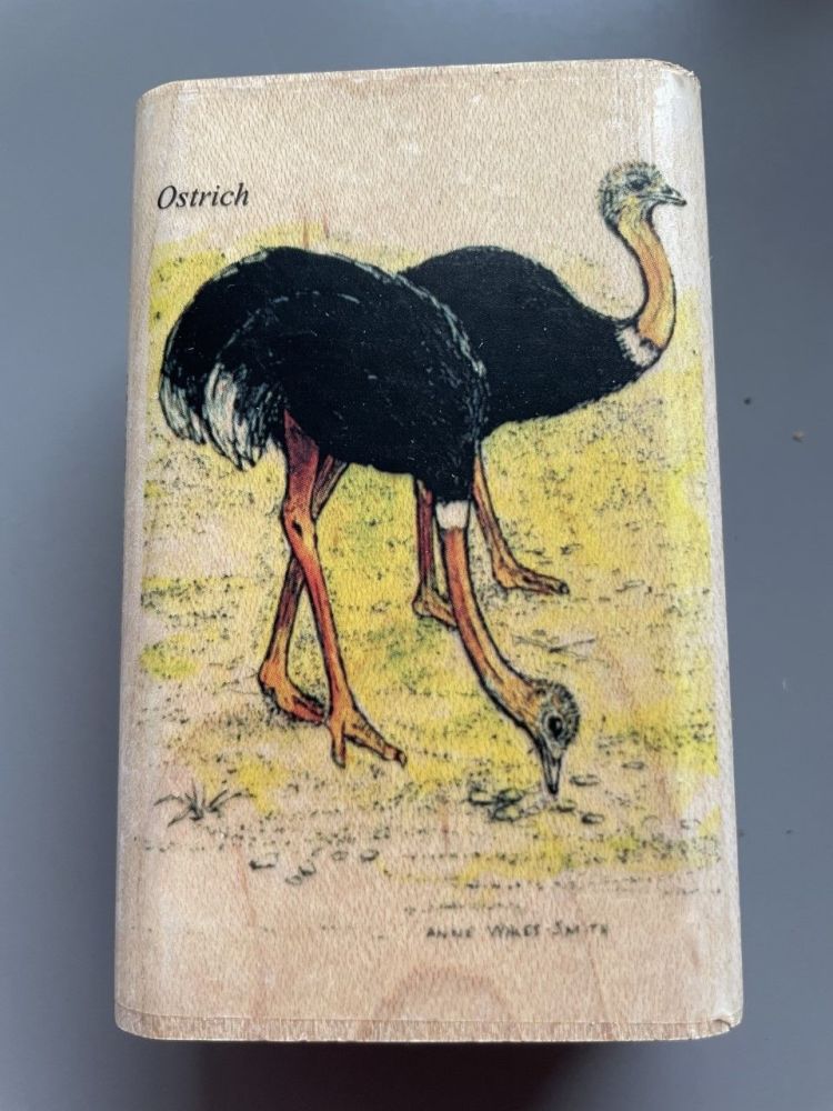 994M Ostrich