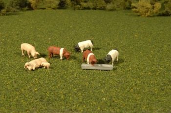 Pigs - HO Scale