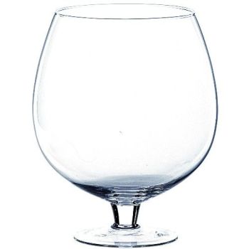 Glass Cognac Vase