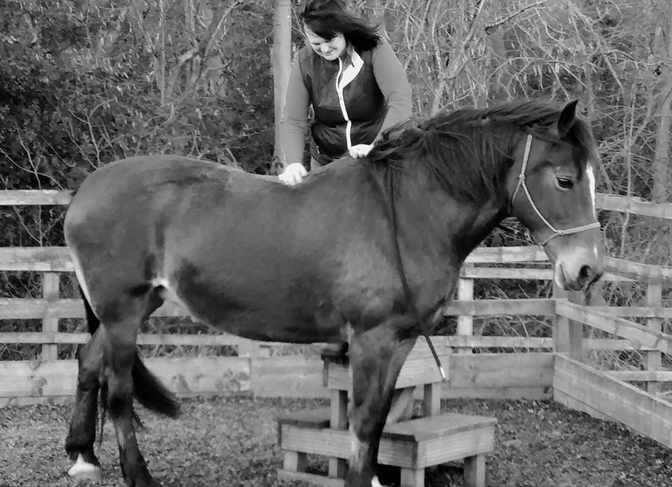 ruby at the mounting block