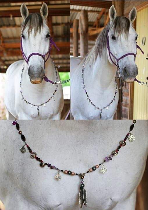 Rhythm Beads for Horses 