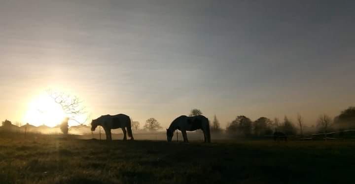 Poem ~ Winter Solstice