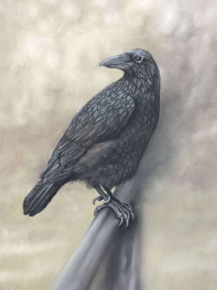 Raven. Original Art by Vicki Jayne Yates
