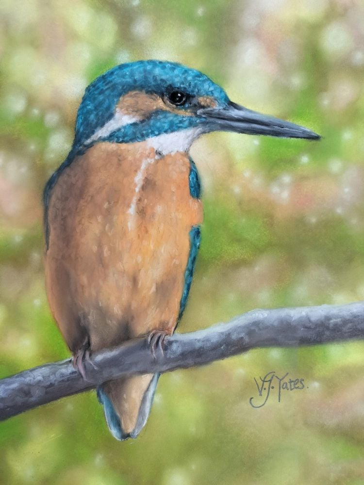 Kingfisher. Original Art by Vicki Jayne Yates