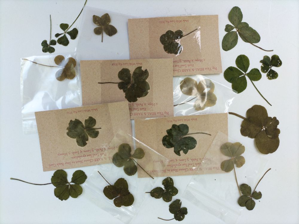 Lucky Four and Five Leaf Clovers.