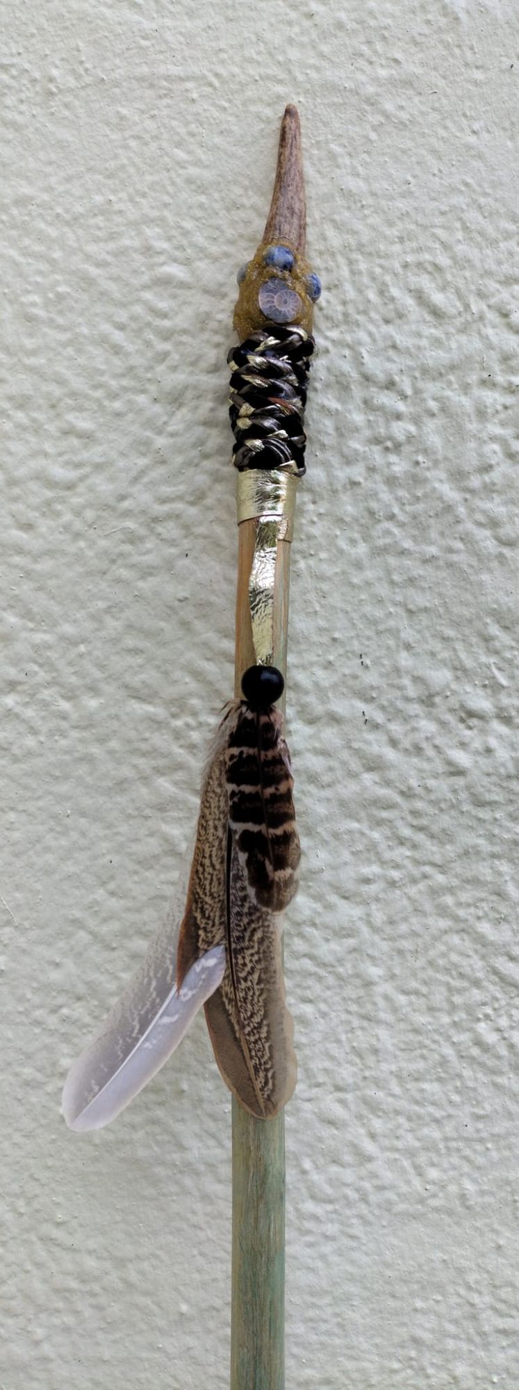Blue Sodalite and Ammonite Fossils Walking / Ceremonial / Talking Stick