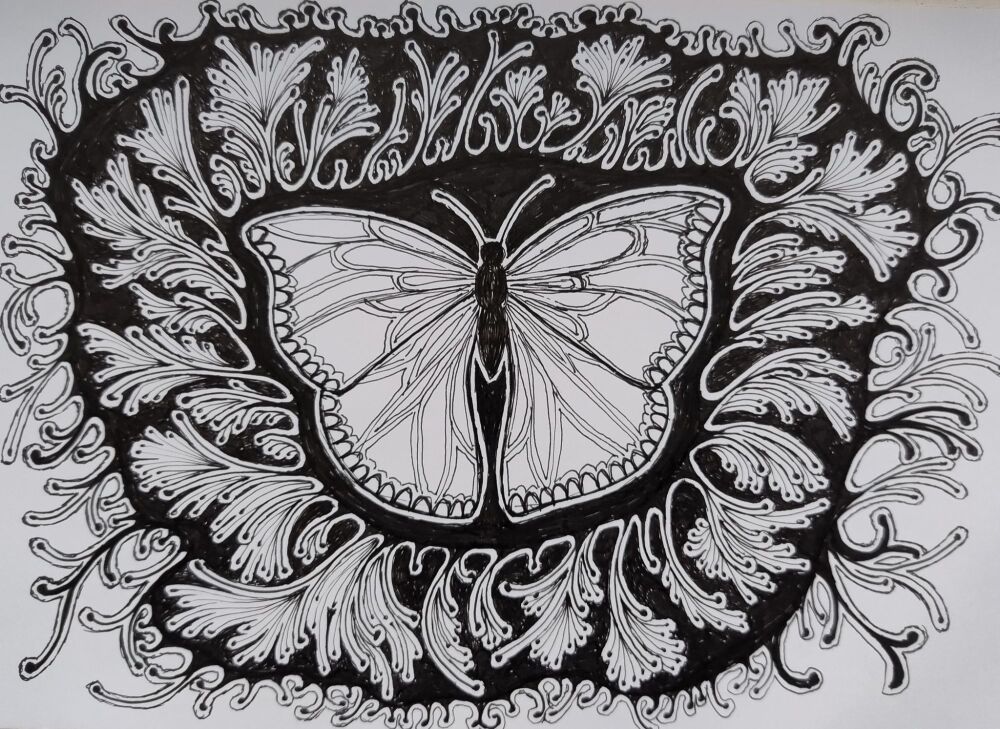 Butterfly