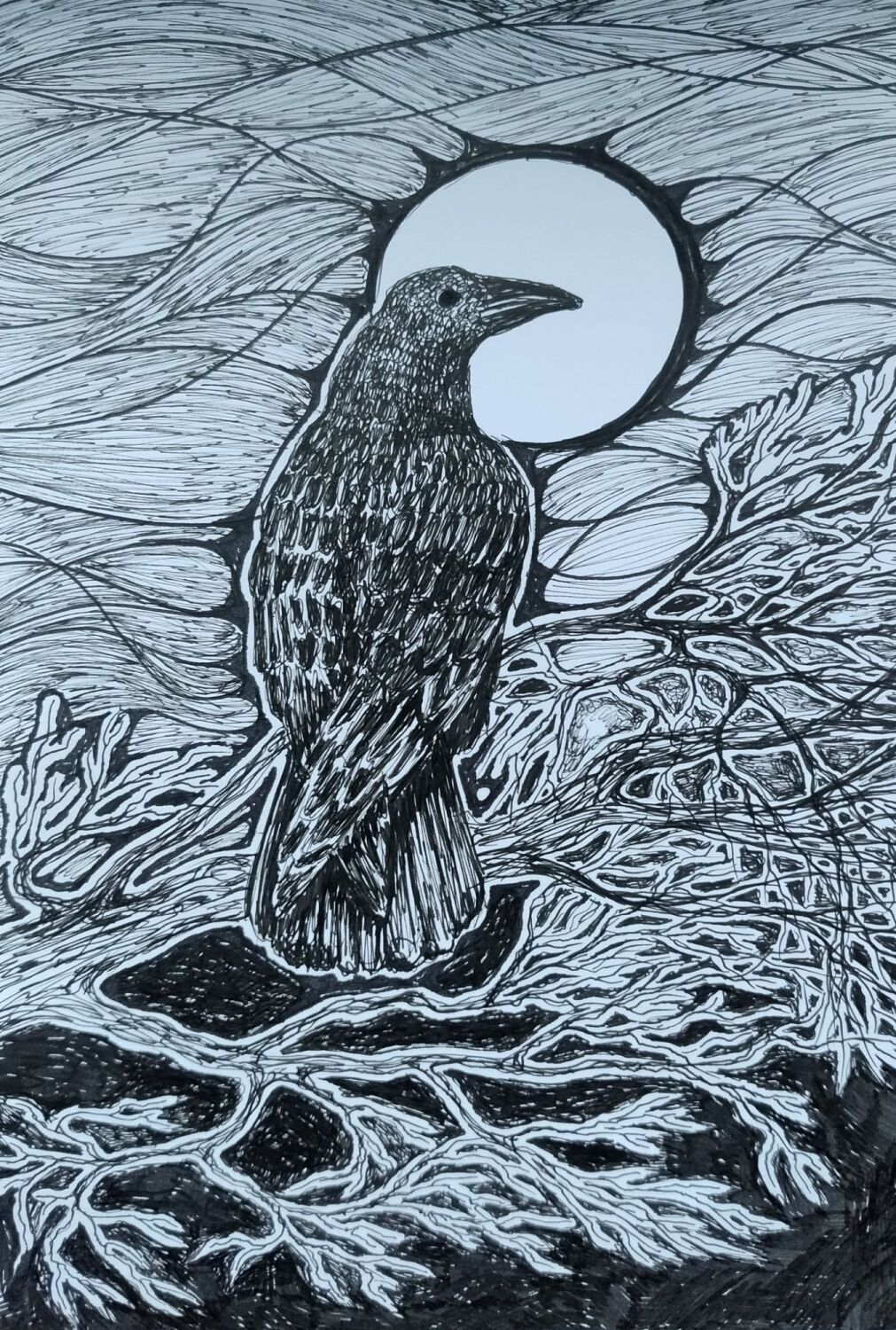 Crow Spirit