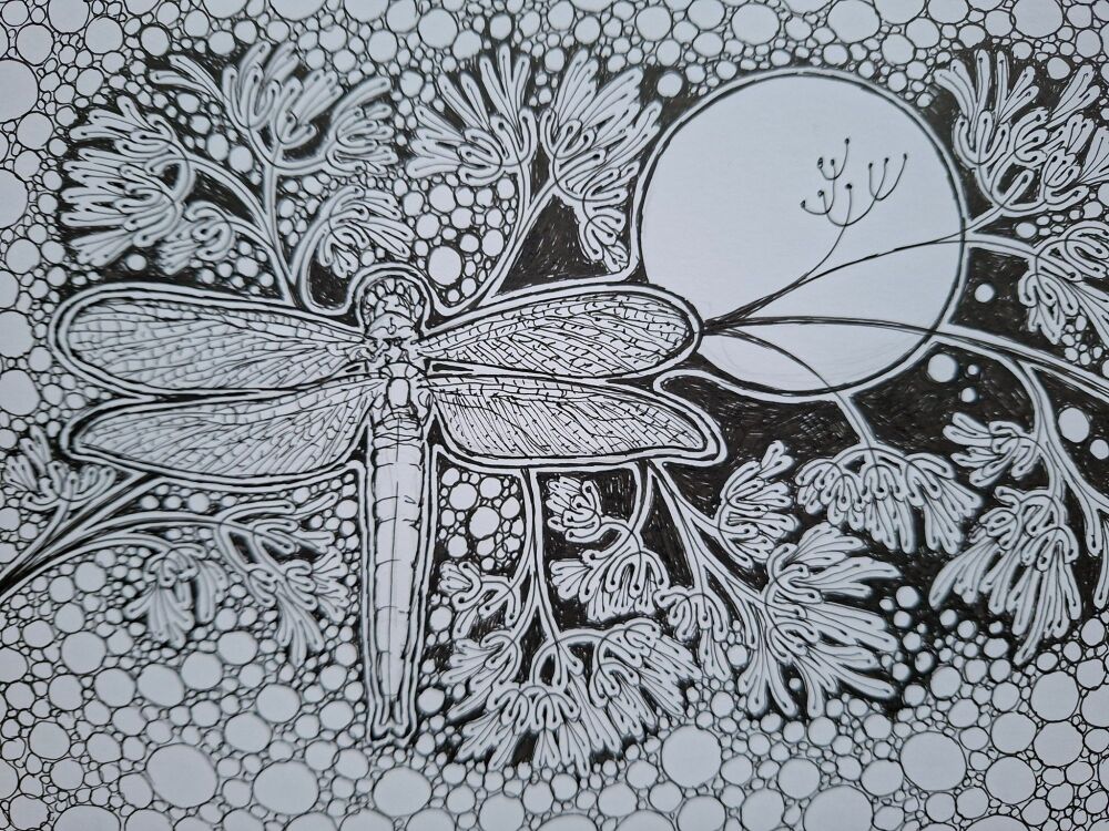 Dragonfly