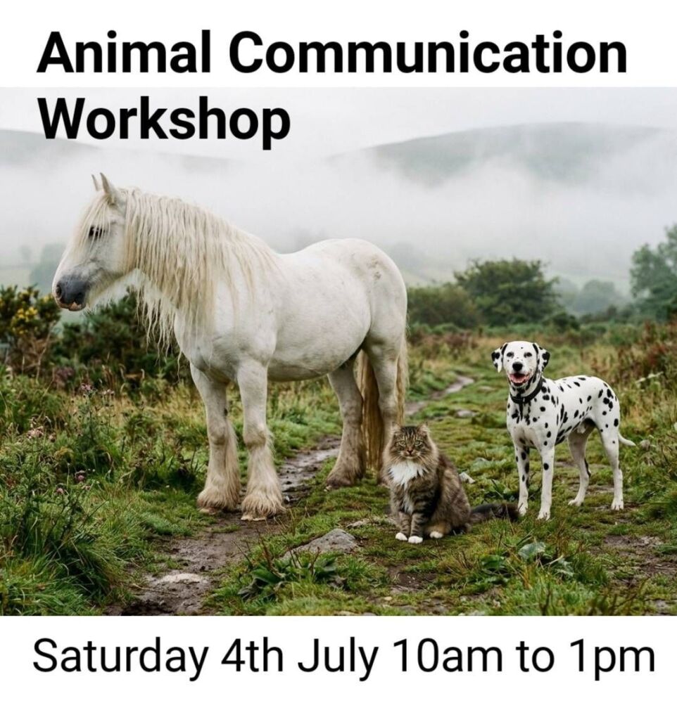 Animal Communication Workshop