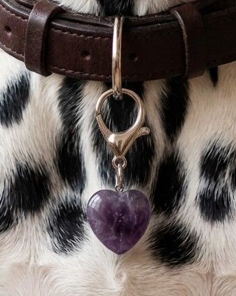Semi Precious Crystal Clip Charms