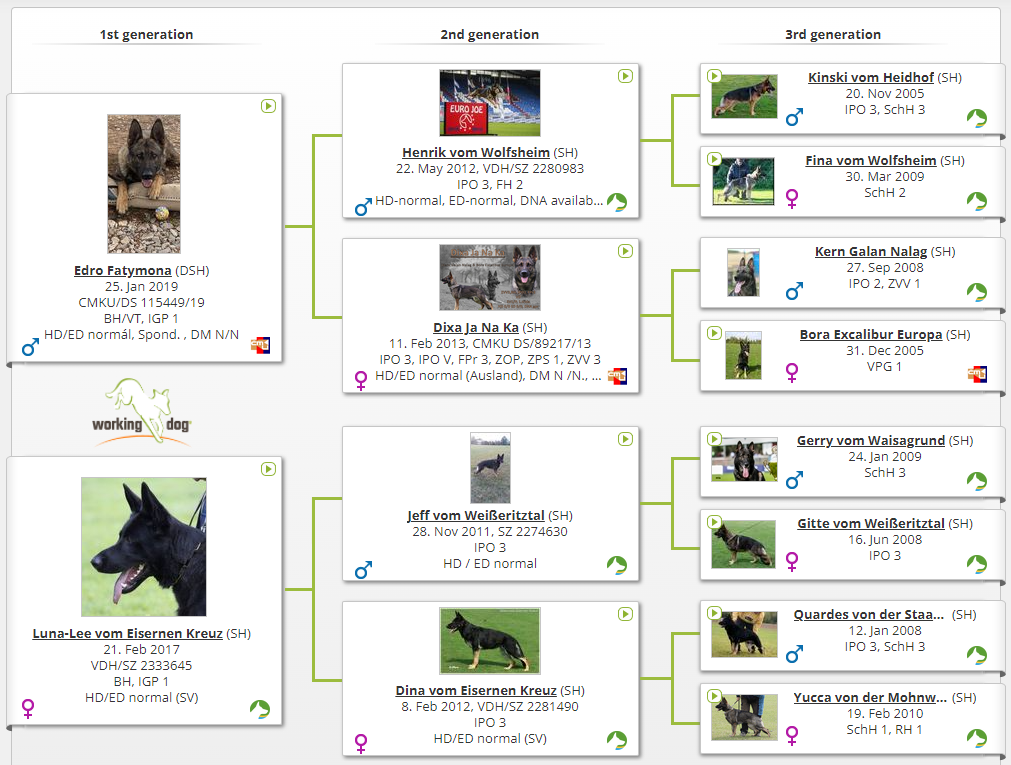 cmku dog pedigree