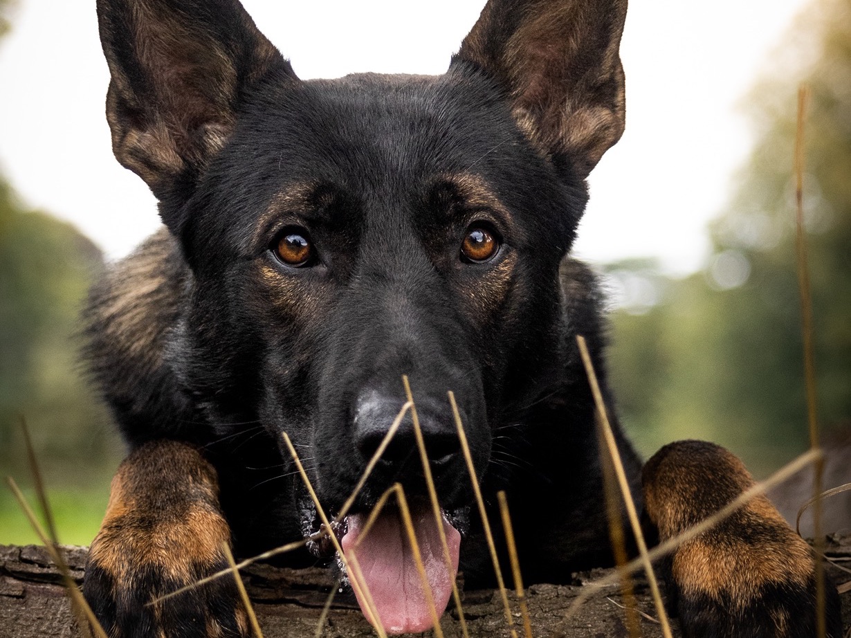 C91BB996-602D-47C2-B86E-70D5356DB708