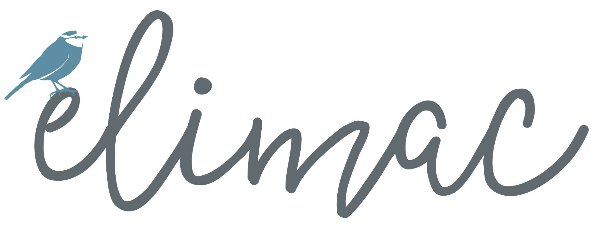 Elimacs Elipad Review Family Travel Guide