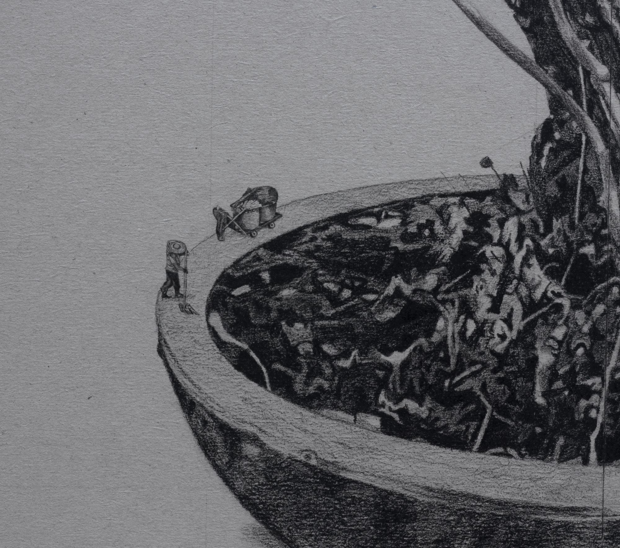 Drawing in charcoal of bonsai tree