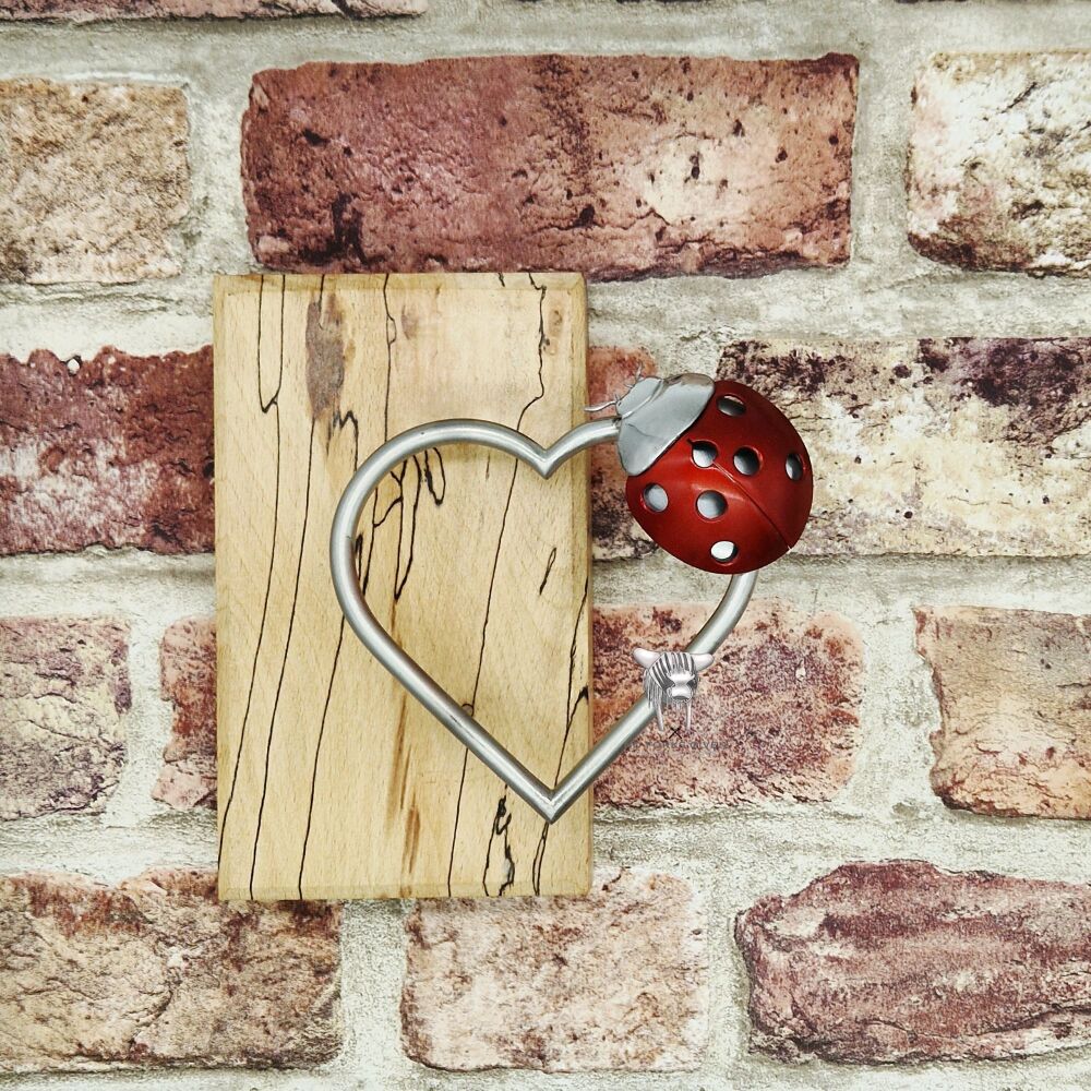 Ladybird Wall-mountable Sculpture