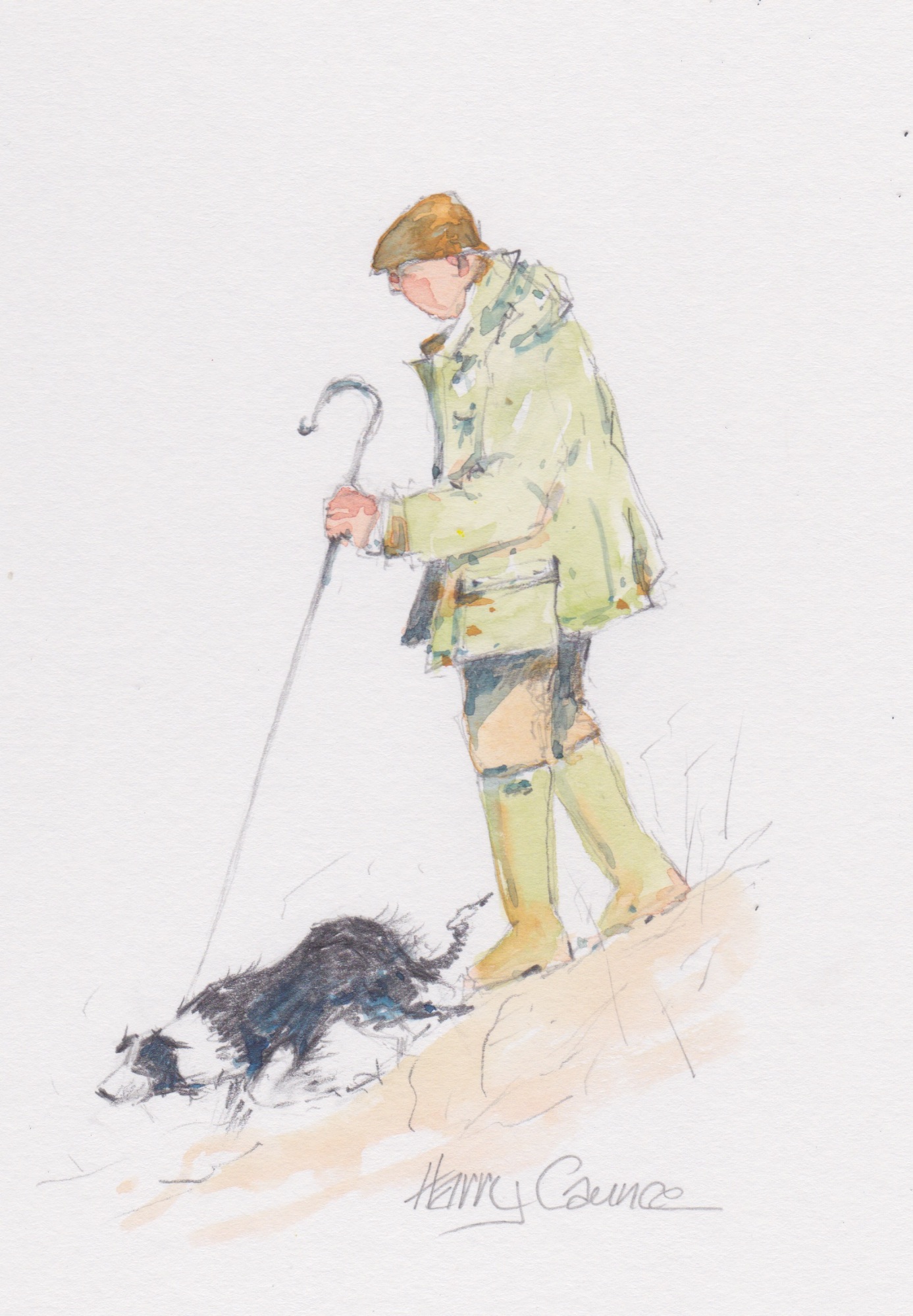 Farmer Sheepdog 1 3