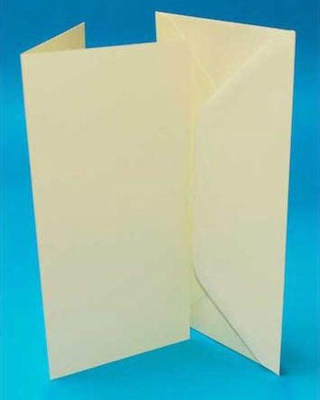 DL White Card Blanks & Envelopes 